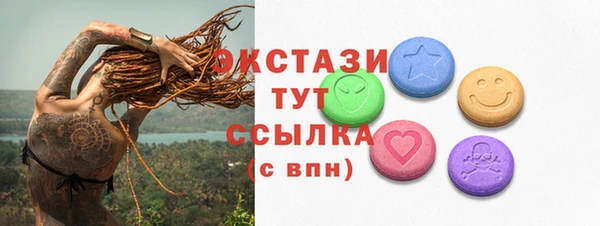 крисы Бородино