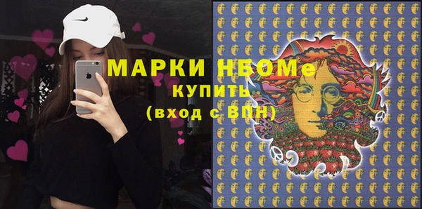 крисы Бородино