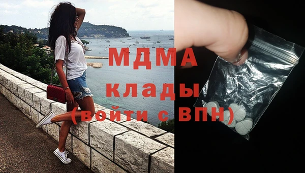 крисы Бородино