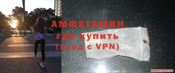 крисы Бородино