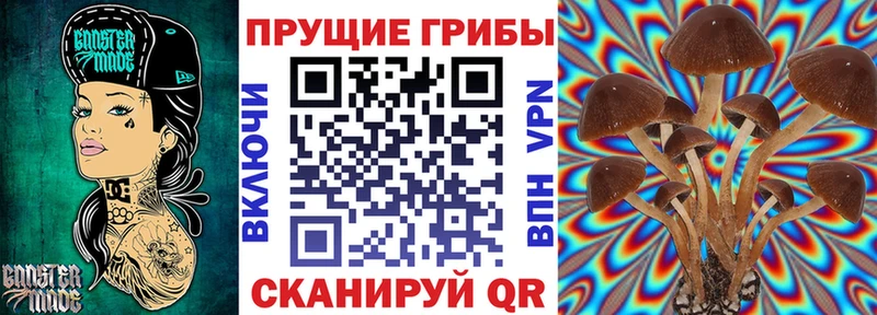 сколько стоит  Петухово  Псилоцибиновые грибы мухоморы 