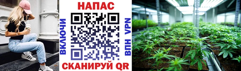 Шишки марихуана THC 21%  Петухово 